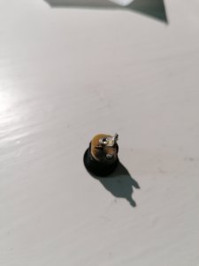 IMG_20210525_170247.jpg