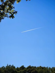 IMG_20210530_172530.jpg