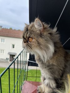89F01BA2-6D6D-438A-BE4E-380C0520226F.jpeg