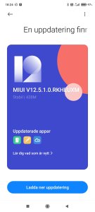Screenshot_2021-06-01-18-24-59-772_com.android.updater.jpg
