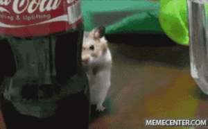 200.gif