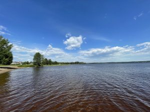 D7B9CF4B-9B62-48BA-ABFE-F84F15149C72.jpeg