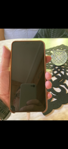 05767C62-C5B2-4919-93C5-DEAE27BB6DDD.png