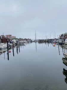 EAC51808-B70C-43C2-AEF7-34F11435EC67.jpeg