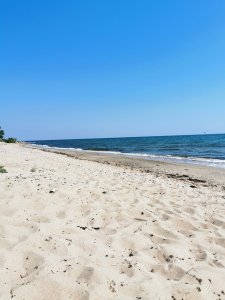 IMG_20210617_154510.jpg