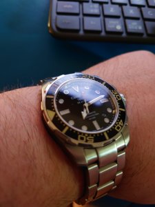 DSC_0310.JPG