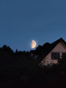 MOON_20210619_000352_507461349.jpg