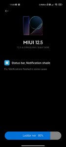 Screenshot_2021-06-28-11-00-50-430_com.android.updater.jpg