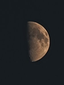 20210618_214629.jpg