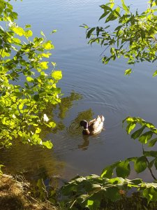 20180605_193320.jpg