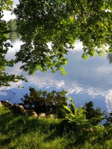 20180612_190807.jpg