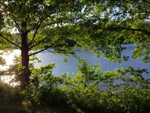 20180605_194604.jpg