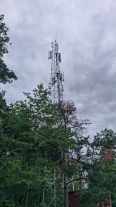 IMG_20210709_102403.jpg