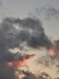 IMG_20210710_215713.jpg