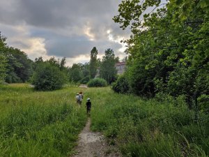 IMG_20210710_190543.jpg