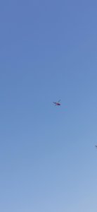 IMG_20210714_162611.jpg