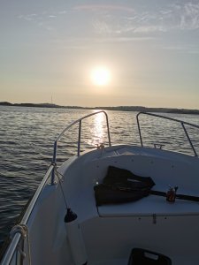 IMG_20210714_203931.jpg