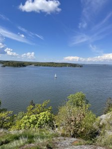95A2303F-4E54-453F-943B-E1F63E9344D1.jpeg