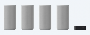 image (11).png