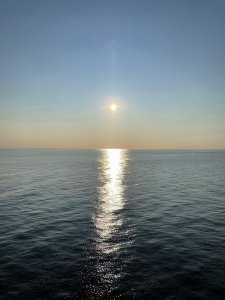 2AD0563C-5E1D-4CF9-B636-8DCEC2A6F6AC.jpeg