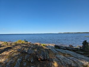 IMG_20210721_173500.jpg