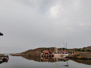IMG_20210727_205743.jpg