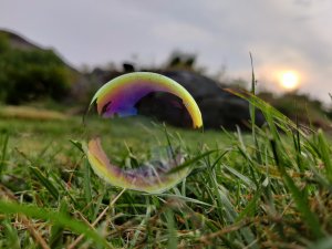 IMG_20210727_200713.jpg