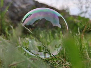 IMG_20210727_201156.jpg