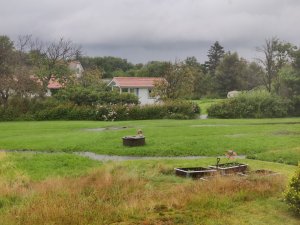 IMG_20210729_125239.jpg