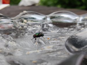 IMG_20210728_132210.jpg