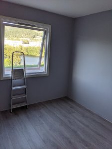 PXL_20210801_171857484.jpg