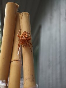 IMG_20210807_103058.jpg