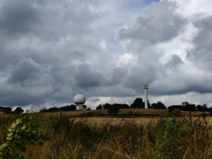 IMG_20210808_144324.jpg