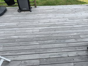 IMG20210815171104[8436].jpg