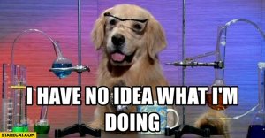 dog-i-have-no-idea-what-im-doing-science-chemistry.jpg