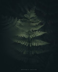 45CDA370-0EA3-4E7F-9FA0-E6EE73EBB5DB.jpeg