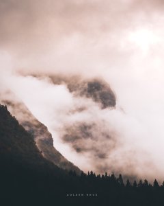 BC141F65-1B92-4647-81D5-096741154EF7.jpeg
