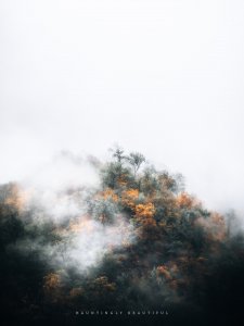 17A6F60C-69CC-48D5-A488-E9961001A855.jpeg