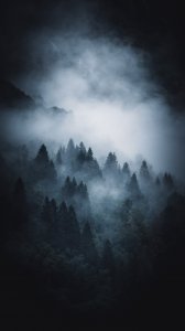 19BAA764-4A8F-4071-ABE0-35A00EE80006.jpeg