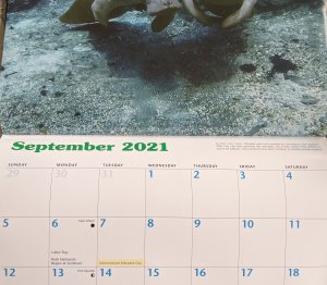 PXL_20210907_093945413~2.jpg