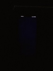IMG_0748.jpeg