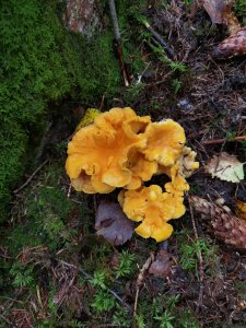 IMG_20210917_174145.jpg