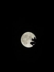 IMG_20210921_220924.jpg