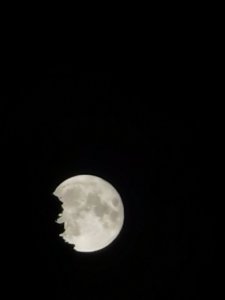 IMG_20210921_220651.jpg