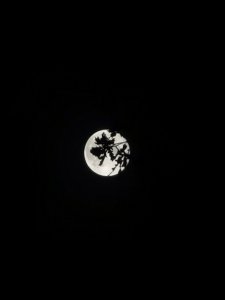 IMG_20210921_220836.jpg