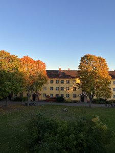 7573D0B2-DA62-4E2D-8BC9-4A3354A1DFB2.jpeg