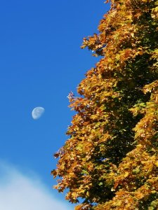 IMG_20210926_093316.jpg