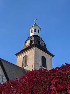 PXL_20210926_093710181.jpg