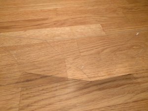 IMG_20160101_165843.jpg