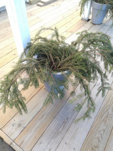 IMG_20160106_113915.jpg